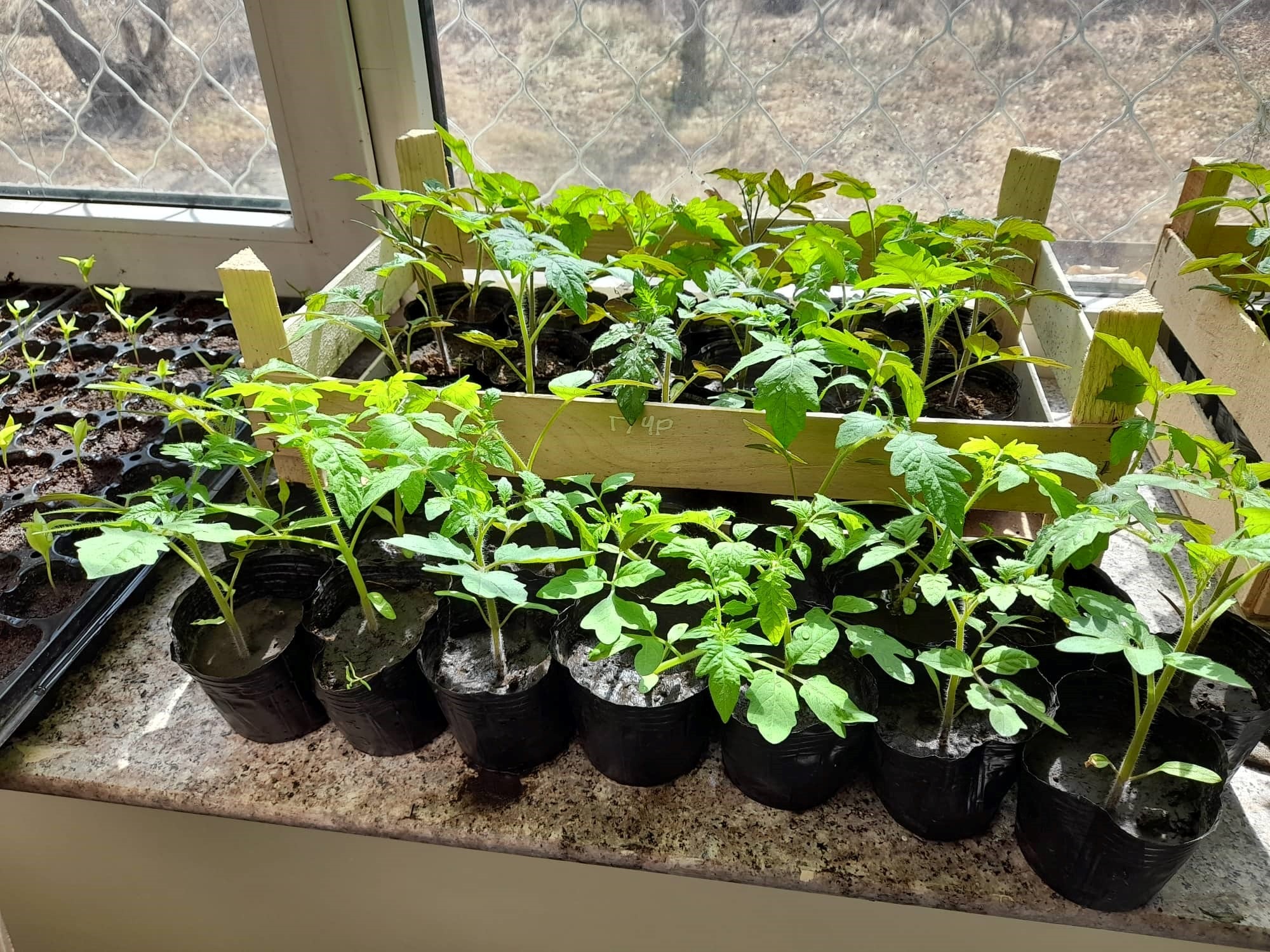 УРГАЦЫН ДАЛАЙ КЛУБ